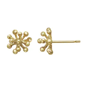 Small Dandelion Studs