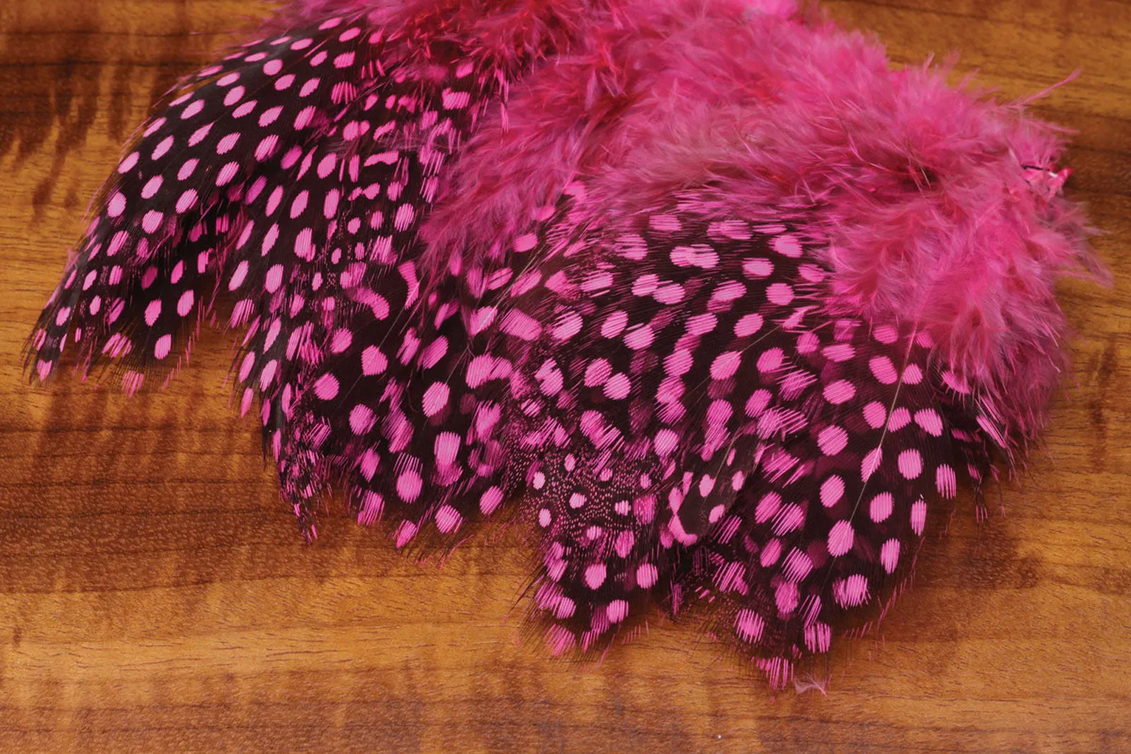 Strung Guinea Feathers